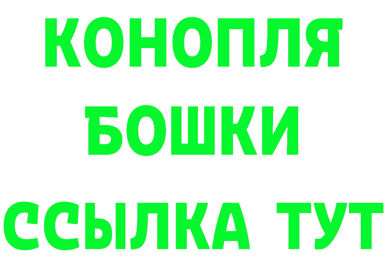 Альфа ПВП СК как зайти это блэк спрут Электроугли